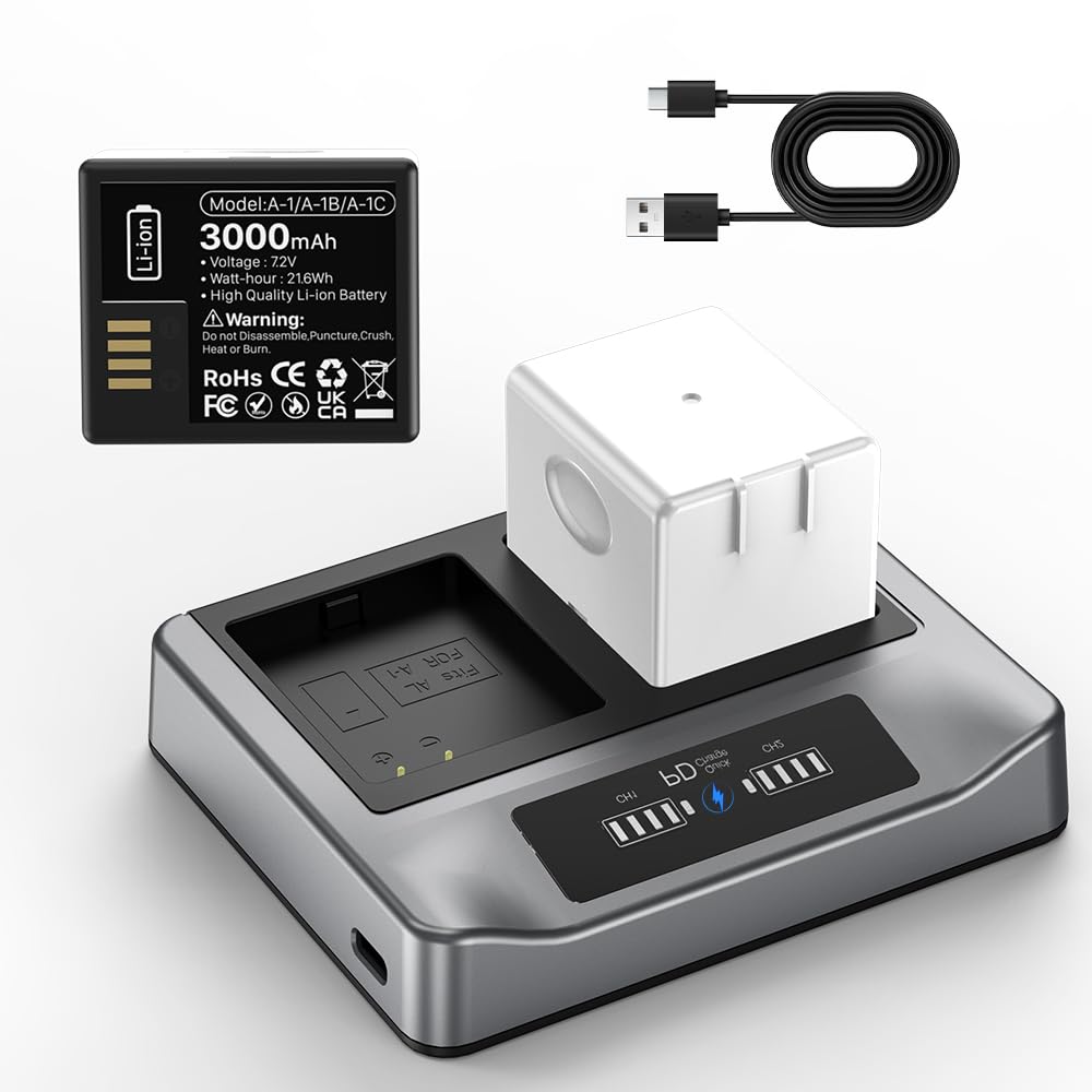 2-Pack Rechargeable Batteries with Charging Station F433