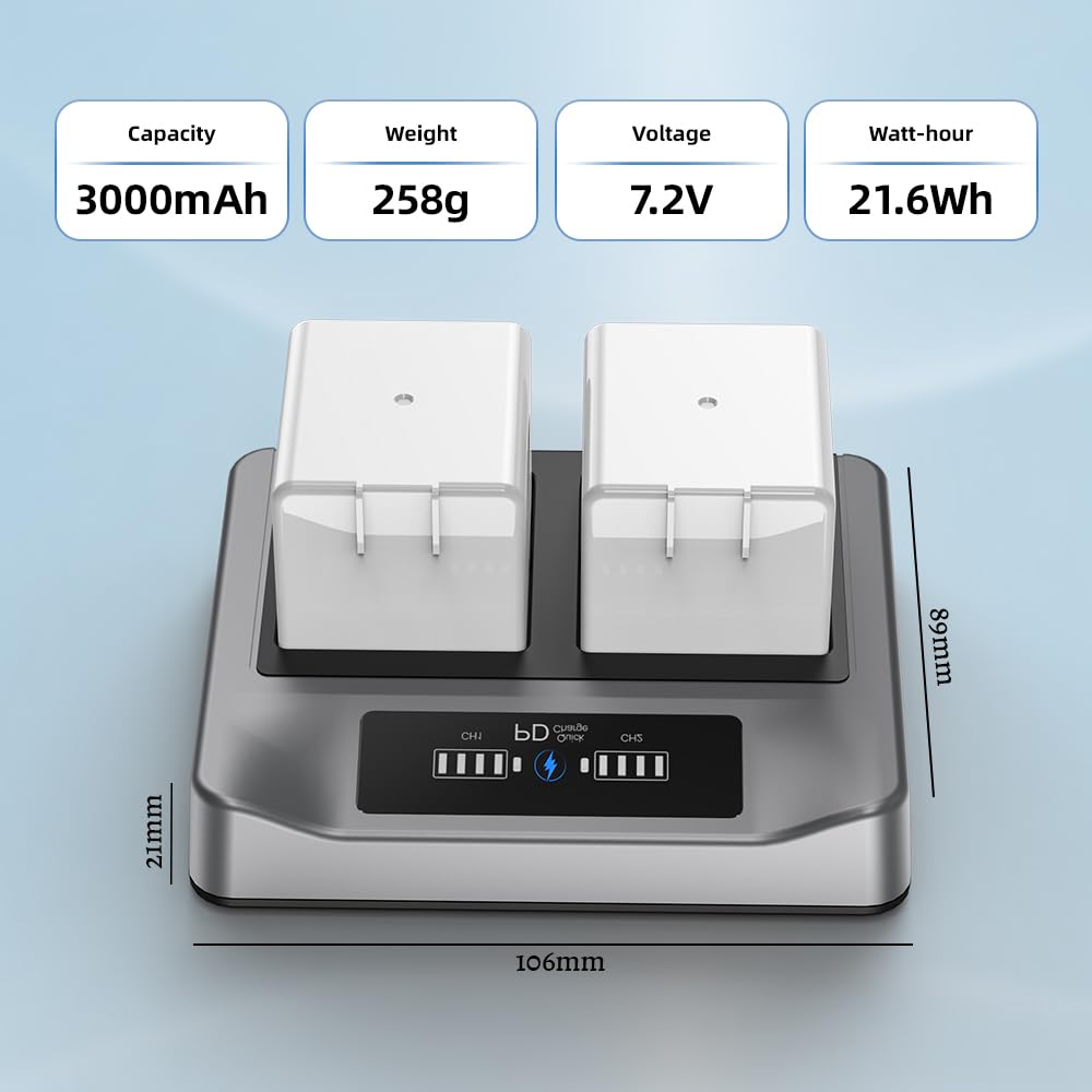 2-Pack Rechargeable Batteries with Charging Station F433