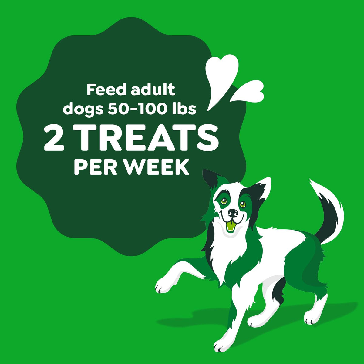 Chicken Flavor Dog Treats, 4 Count B6162