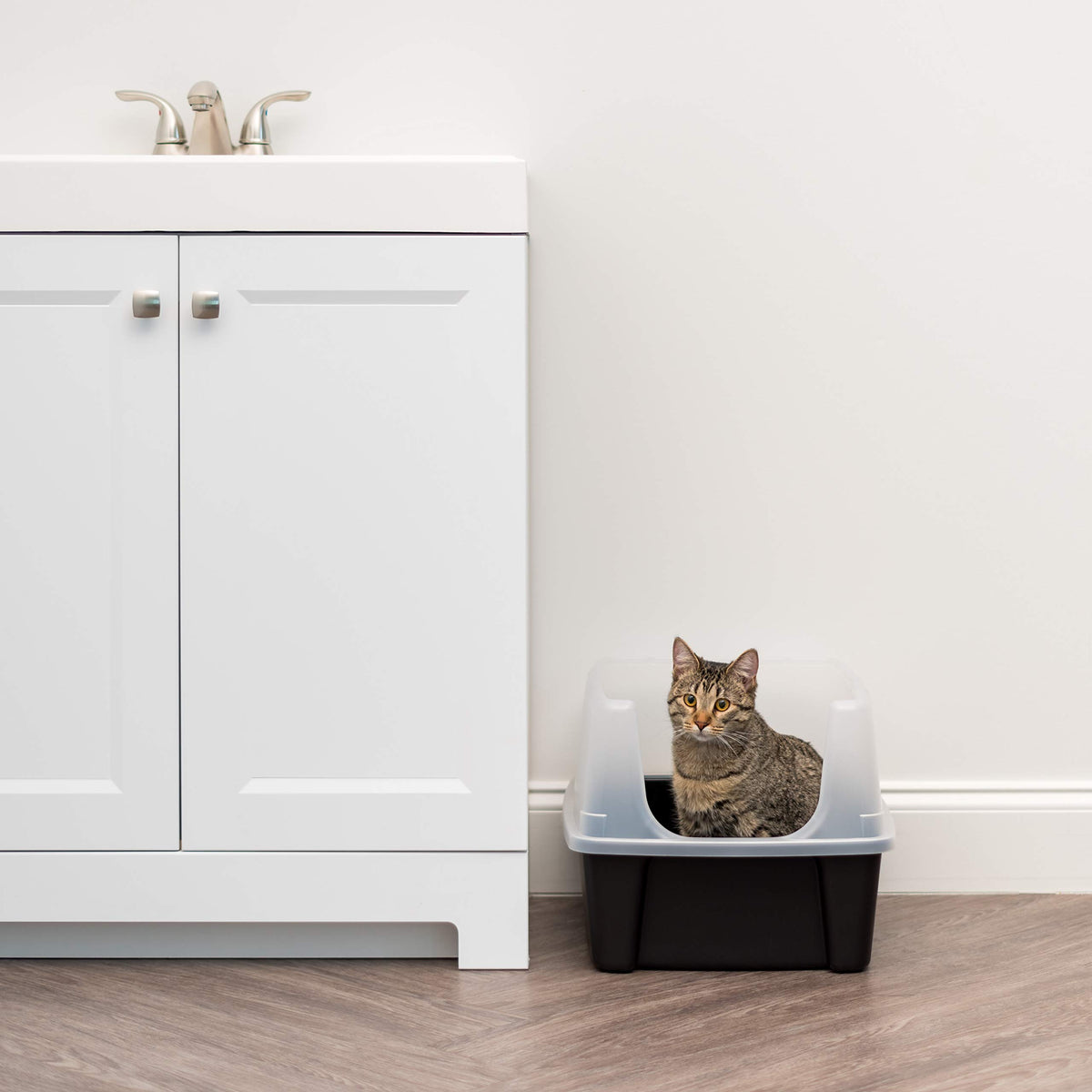 High Sided Cat Litter Box with Scatter Shield, Black M546