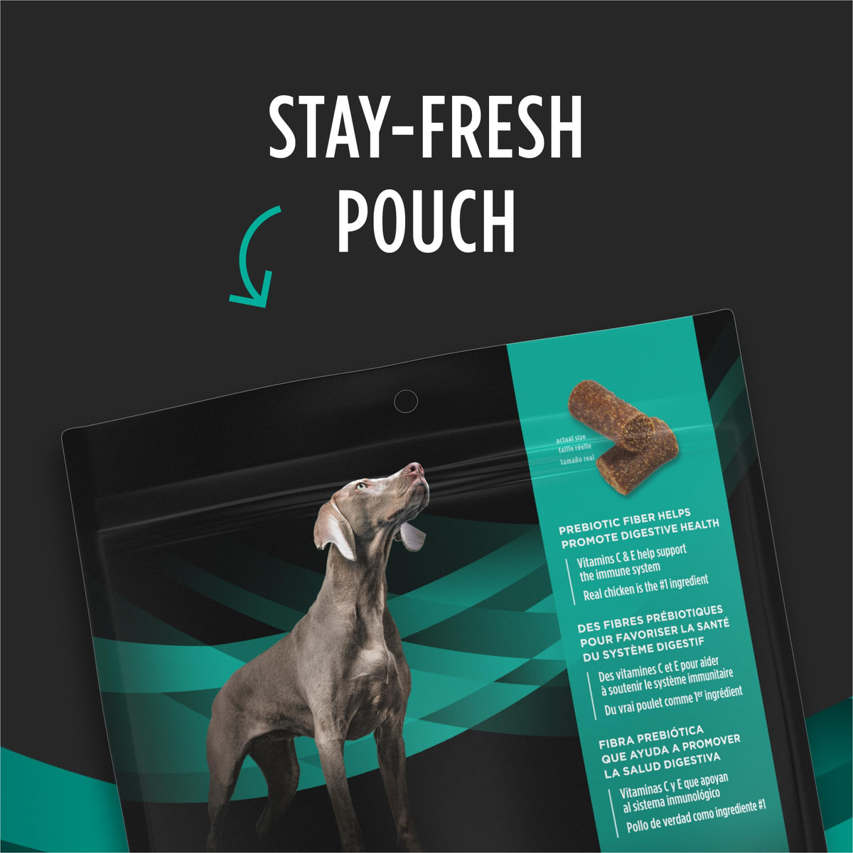 Dog Treats 16 oz V795644