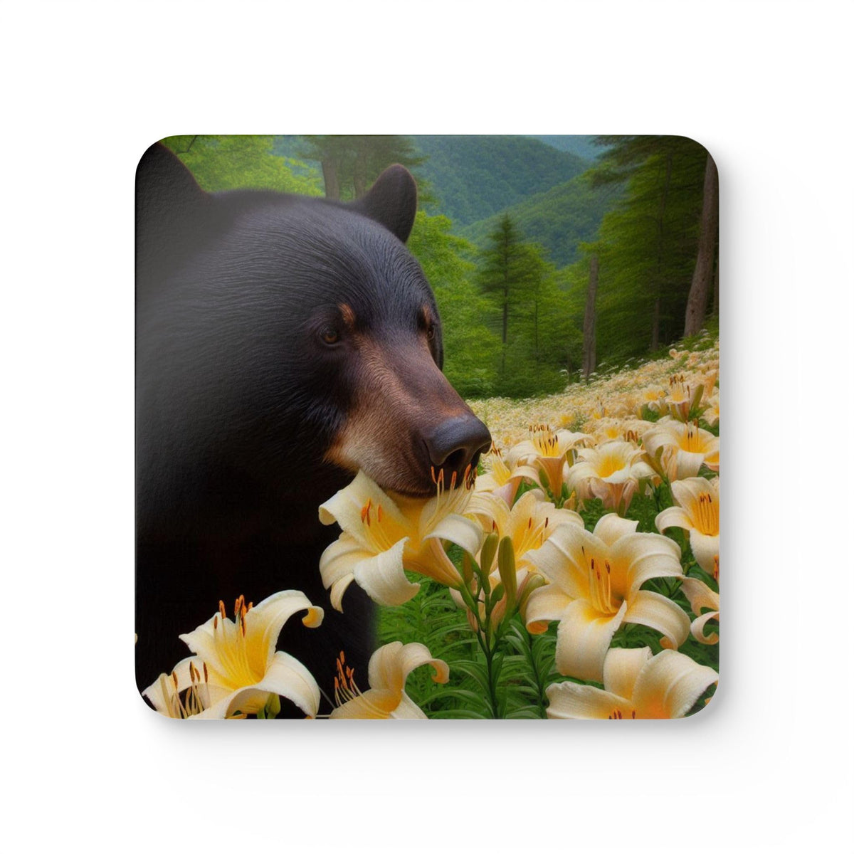 Set of 4 Coasters I55915
