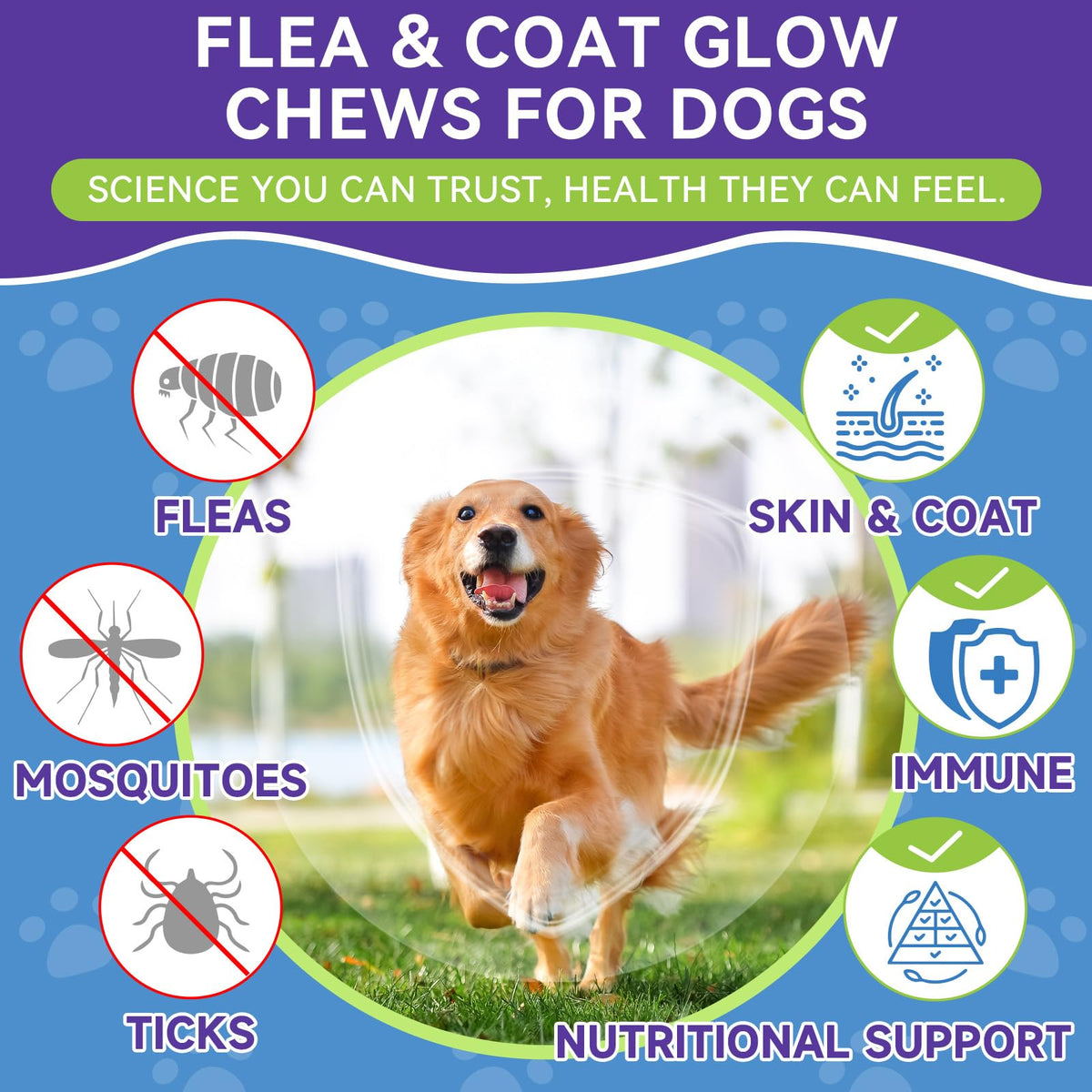 Flea and Tick Prevention for Dogs F593303