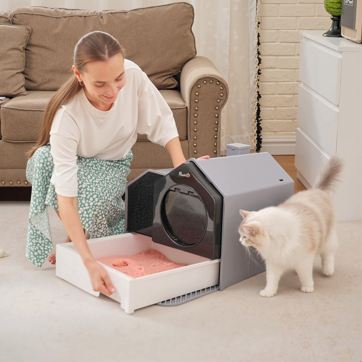 Hooded Cat Litter Box with Litter Mat, Pull-Out Drawer, Handle, Scoop, Gray Y390740
