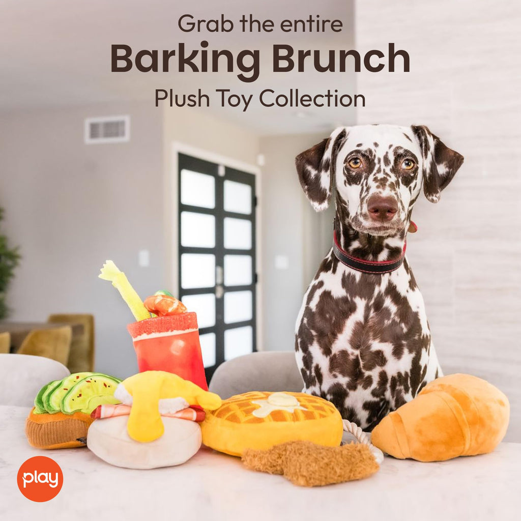 Plush Dog Chew Toy X928