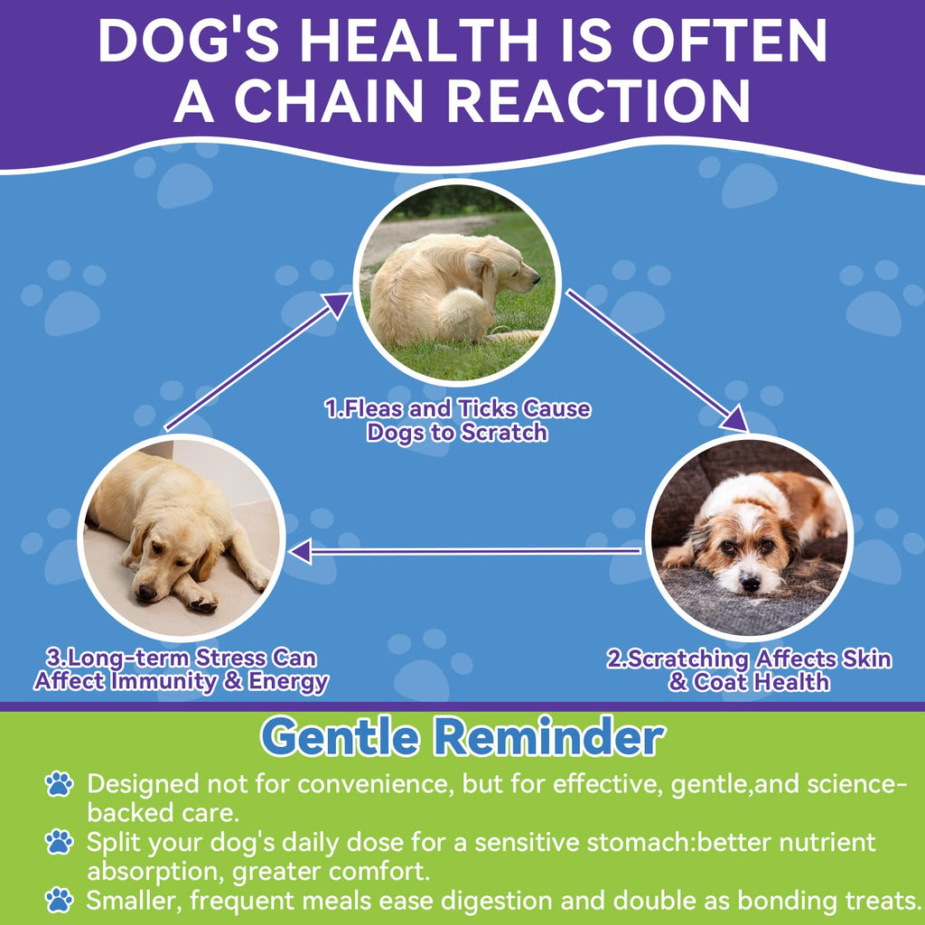 Flea and Tick Prevention for Dogs F593303