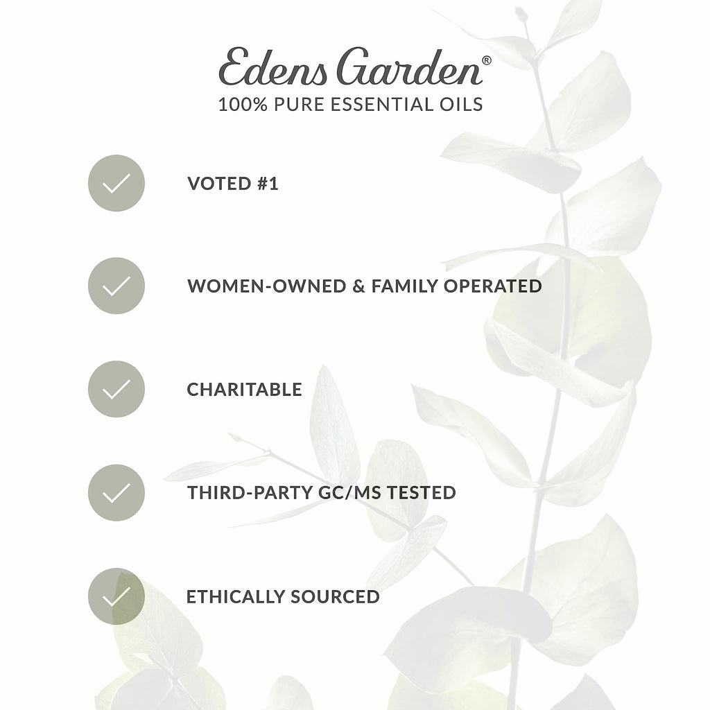 Vanilla Oleoresin Essential Oil 118 ml (4 fl oz) L158034