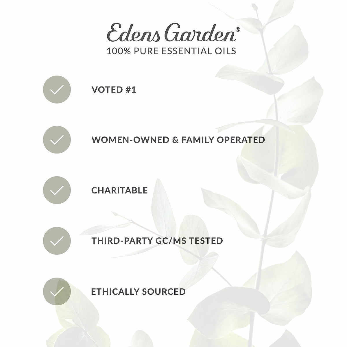 Vanilla Oleoresin Essential Oil 118 ml (4 fl oz) L158034