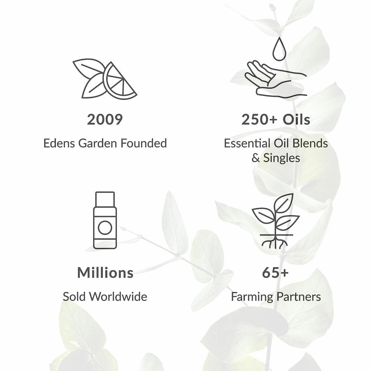 Vanilla Oleoresin Essential Oil 118 ml (4 fl oz) L158034