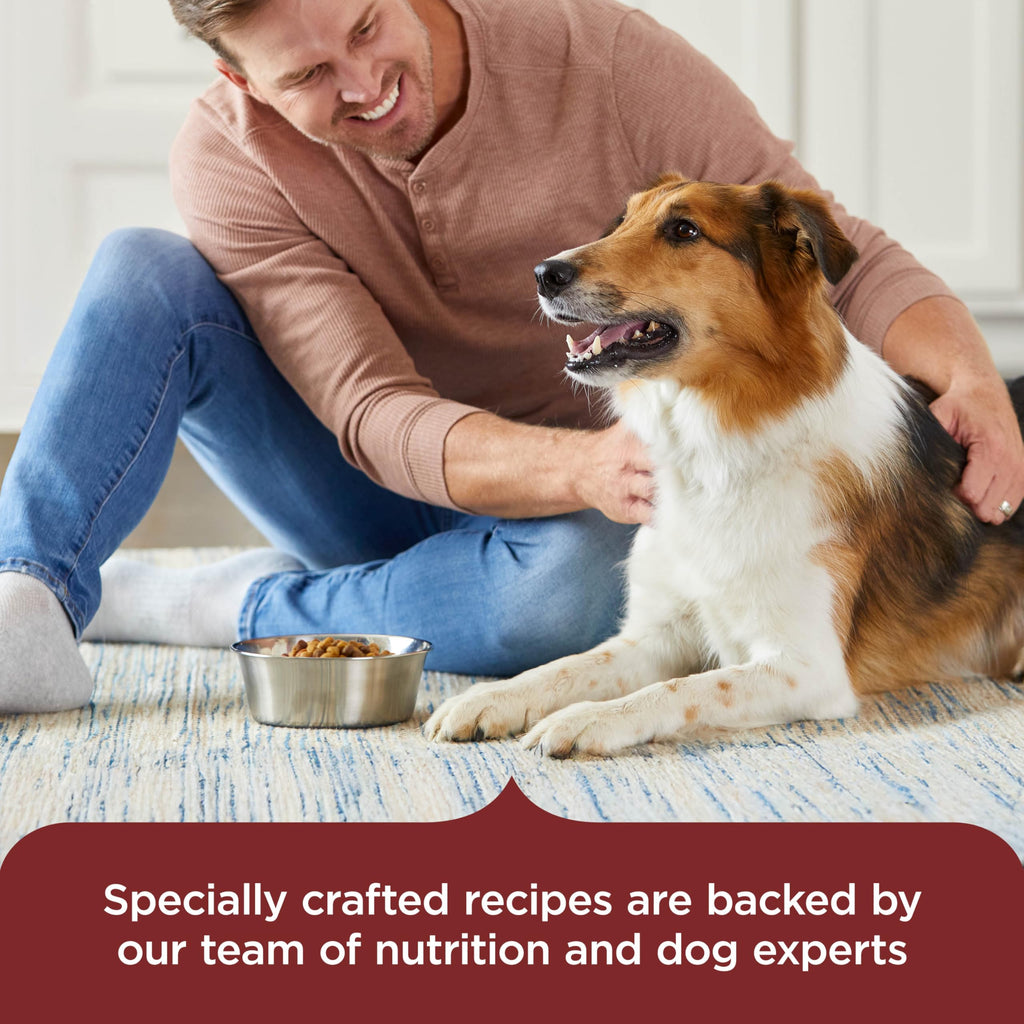 Dry Dog Food, Beef, Pea & Brown Rice, 40 lb. Bag G835