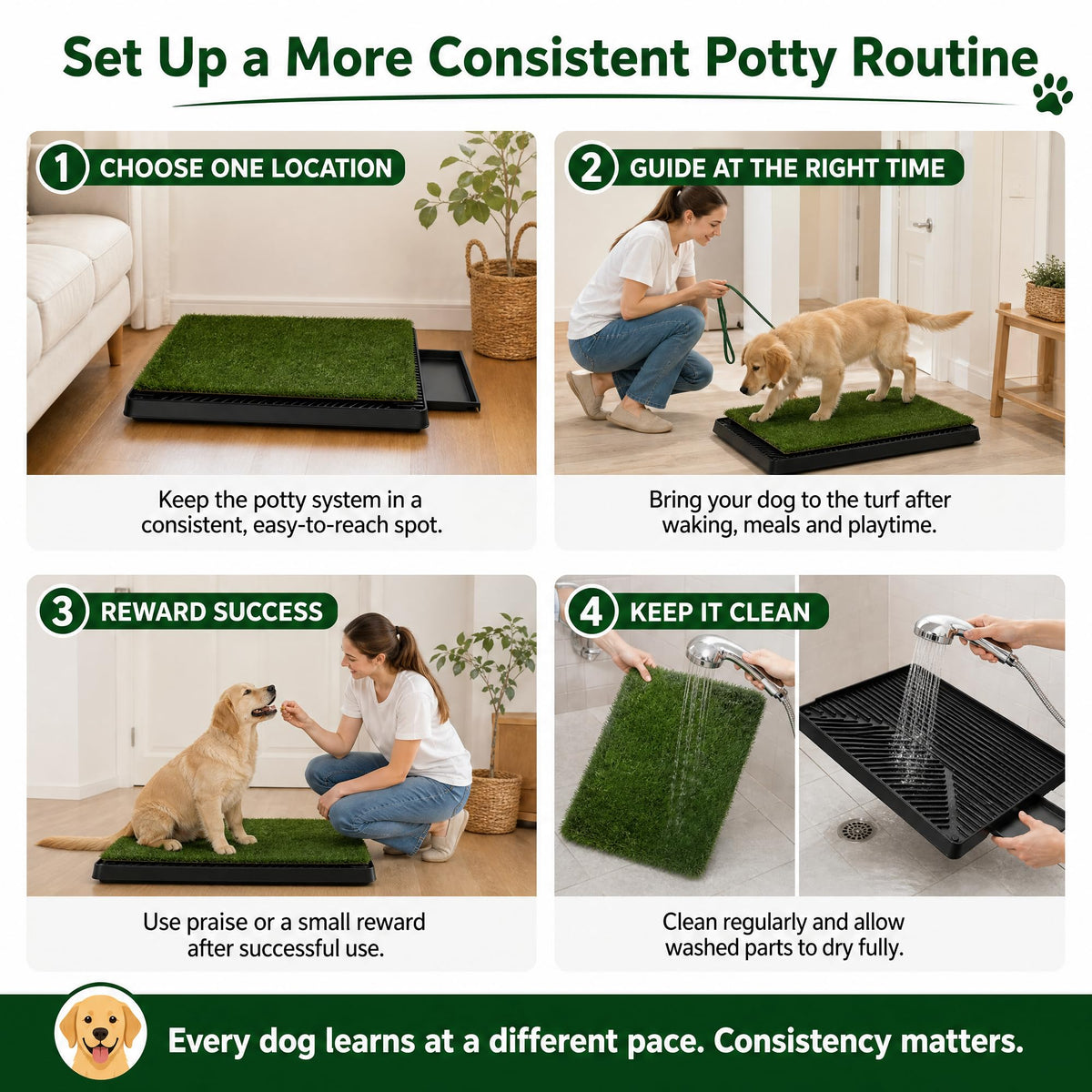 25 x 20 in Dog Grass Pad with Tray V45663