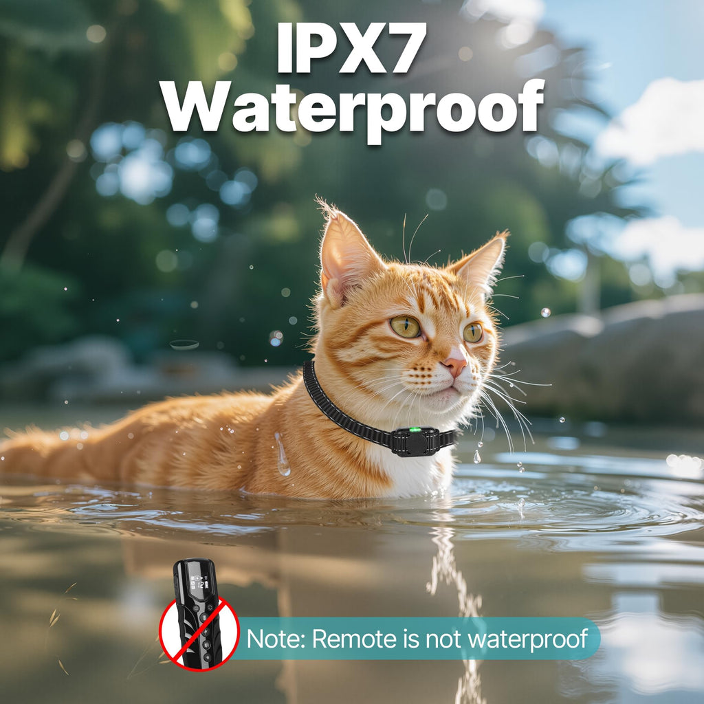 Small Cat Training Collar with Remote, Waterproof Rechargeable, Black U382144