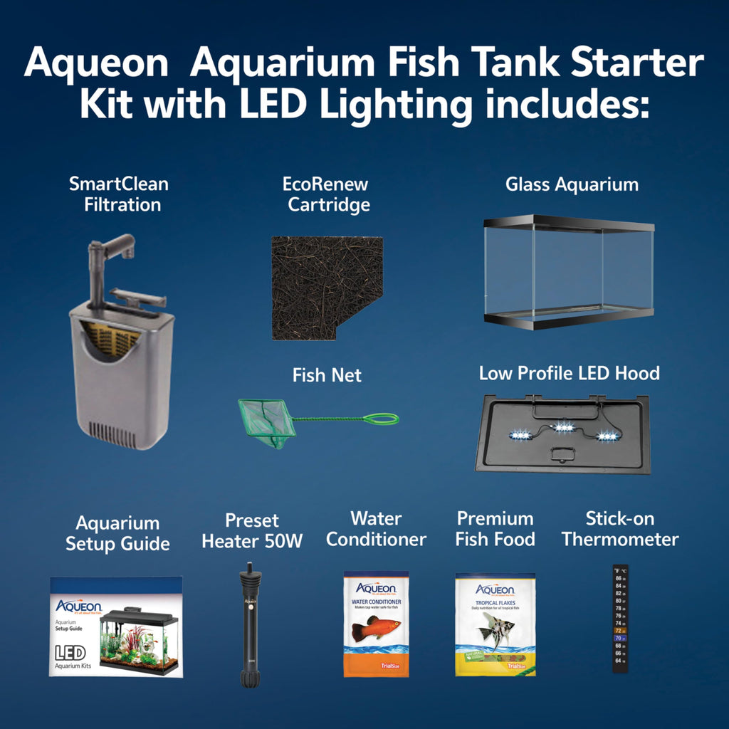 10-Gallon Aquarium Starter Kit with Filtration and LED Lighting Q256164