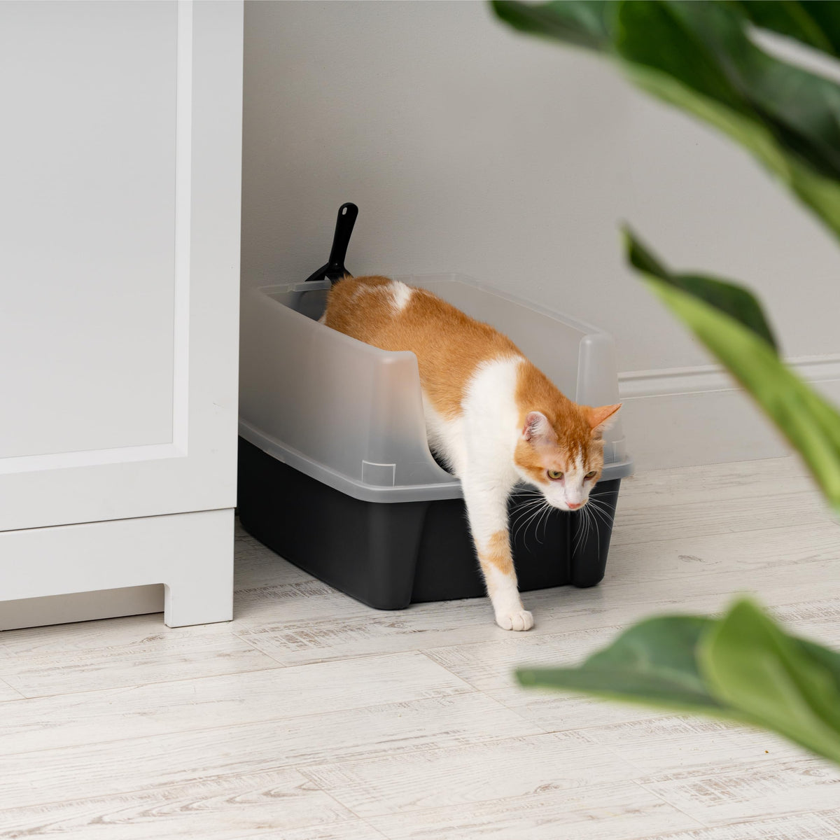 High Sided Cat Litter Box with Scatter Shield, Black M546