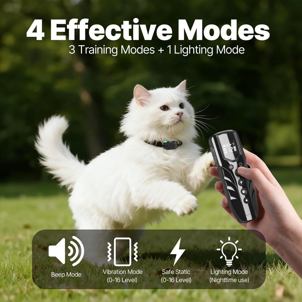 Small Cat Training Collar with Remote, Waterproof Rechargeable, Black U382144