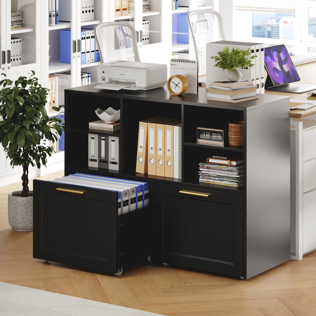 Black 2 Drawer Lateral File Cabinet with Open Storage Cubes T484380