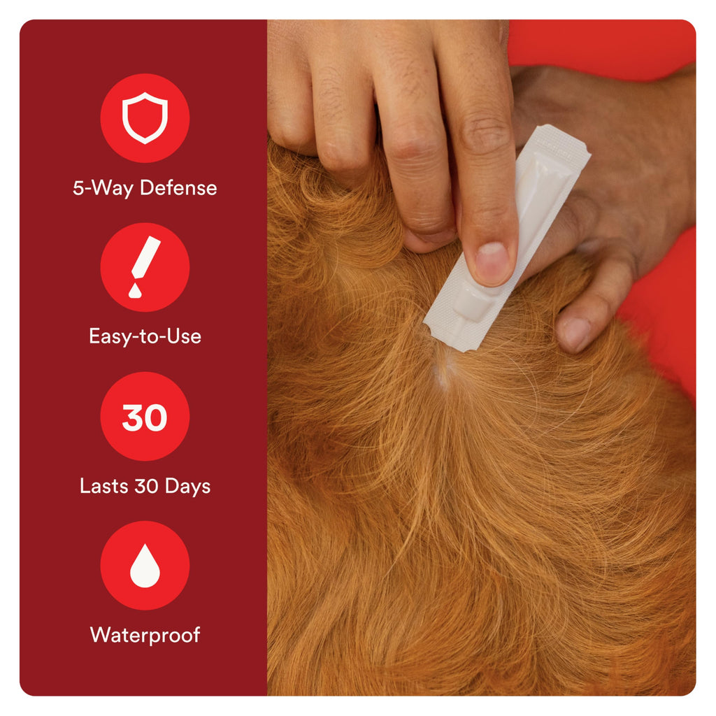 7 Way DeWormer and Flea and Tick Prevention for Small Dogs 6 Count Y10025