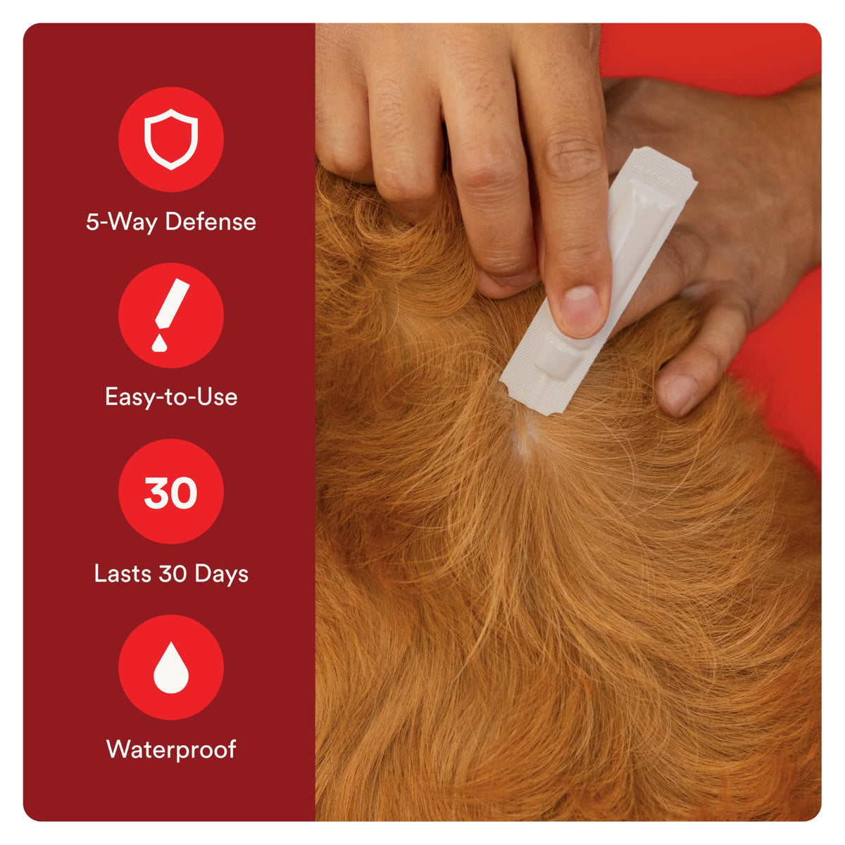 7 Way DeWormer and Flea and Tick Prevention for Small Dogs 6 Count Y10025