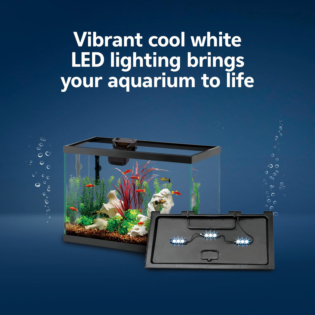 10-Gallon Aquarium Starter Kit with Filtration and LED Lighting Q256164