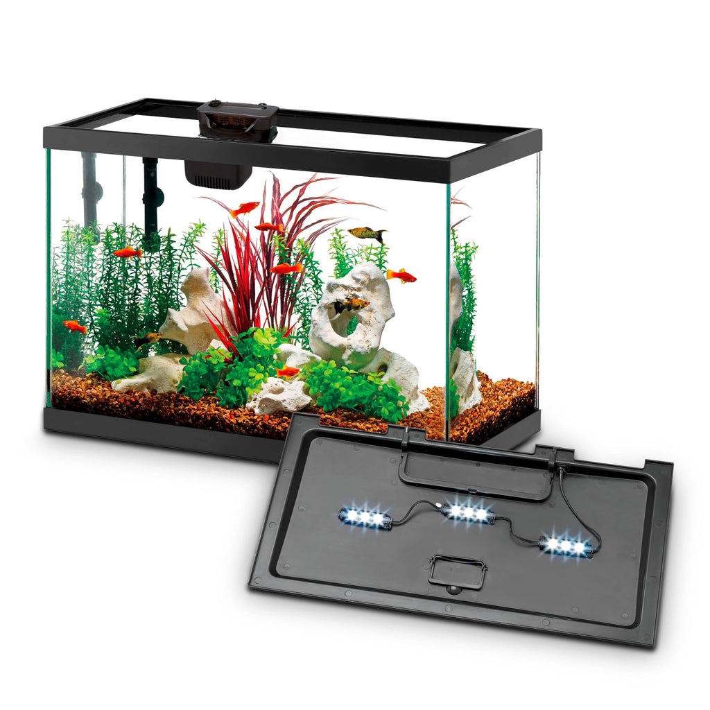 10-Gallon Aquarium Starter Kit with Filtration and LED Lighting Q256164