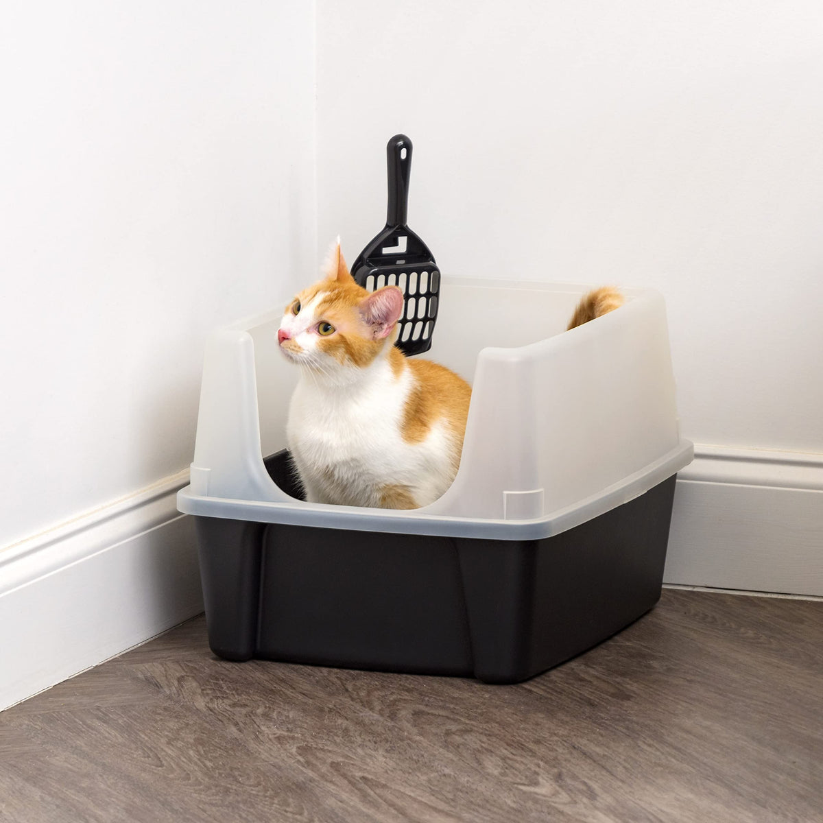 High Sided Cat Litter Box with Scatter Shield, Black M546