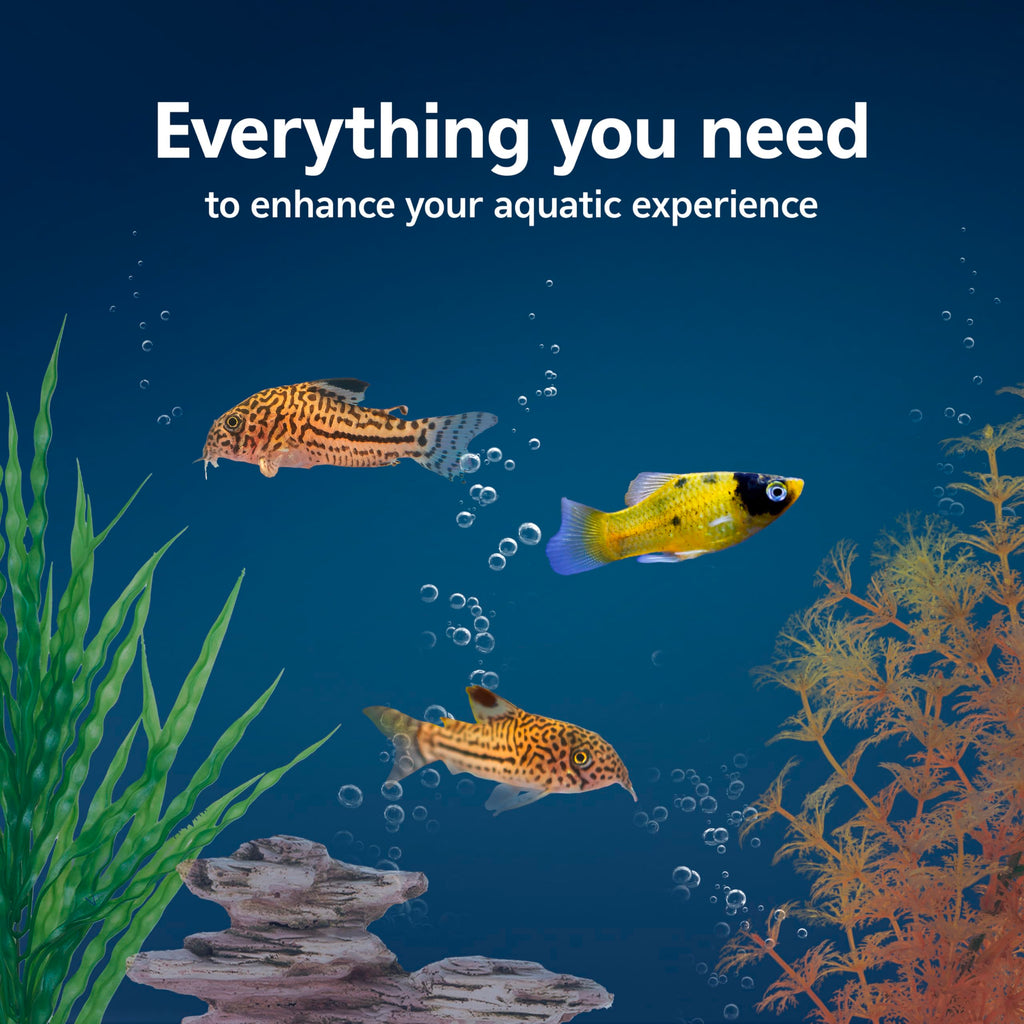 10-Gallon Aquarium Starter Kit with Filtration and LED Lighting Q256164