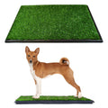 Dog Grass Pad with Tray 20 x 25 I7857