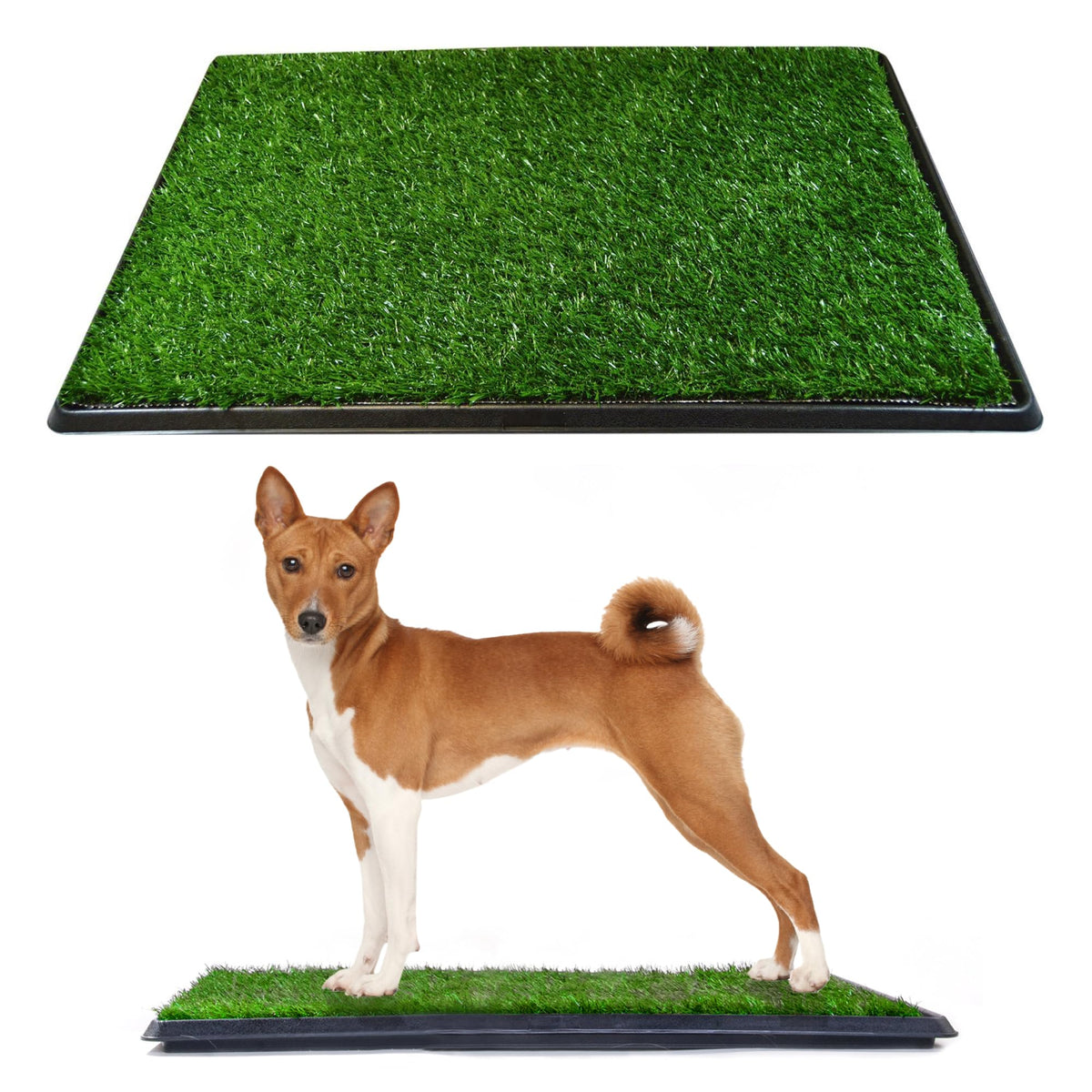 Dog Grass Pad with Tray 20 x 25 I7857