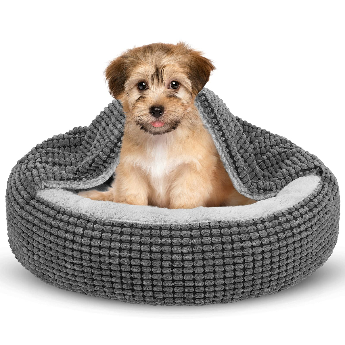 Small Dog Bed with Attached Blanket, 23inch J396