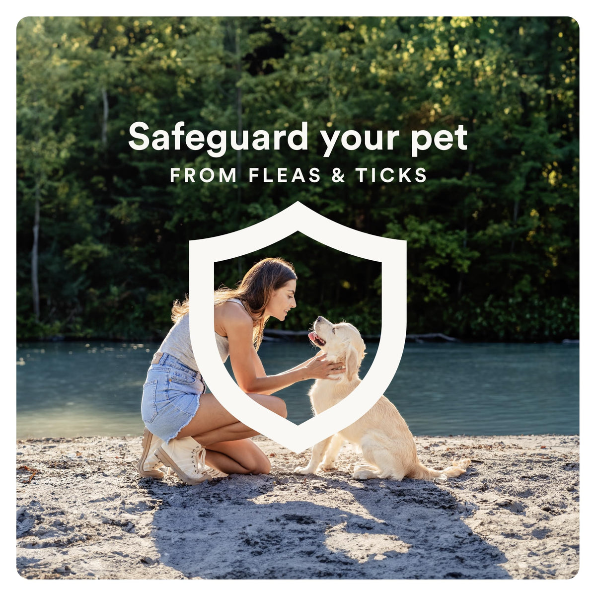 7 Way DeWormer and Flea and Tick Prevention for Small Dogs 6 Count Y10025